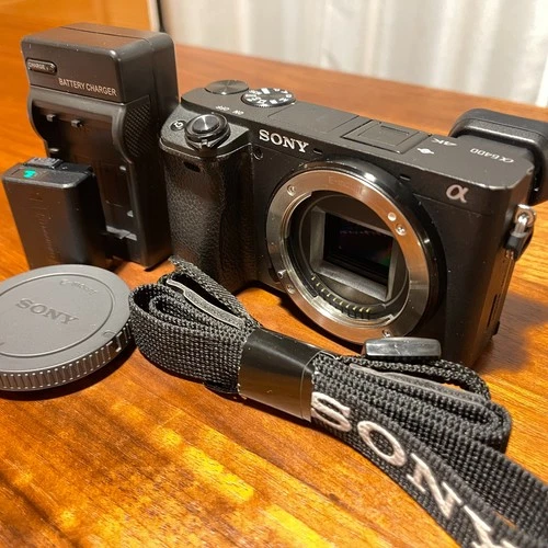 Sony Alpha 6400 Mirrorless Camera